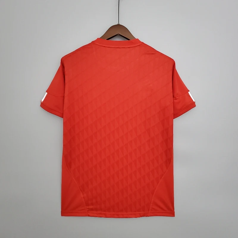 Liverpool 2010/11 Home