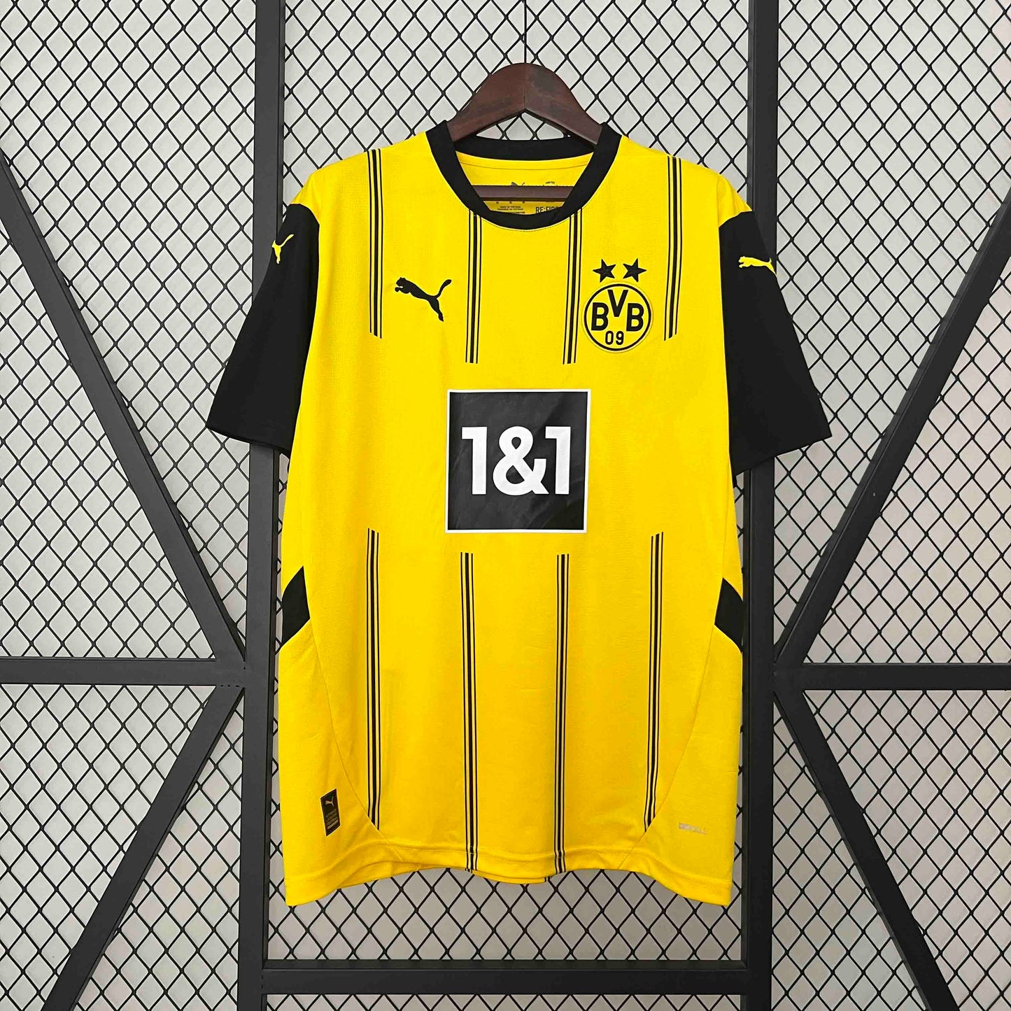 Borussia Dortmund 2024/25 Home