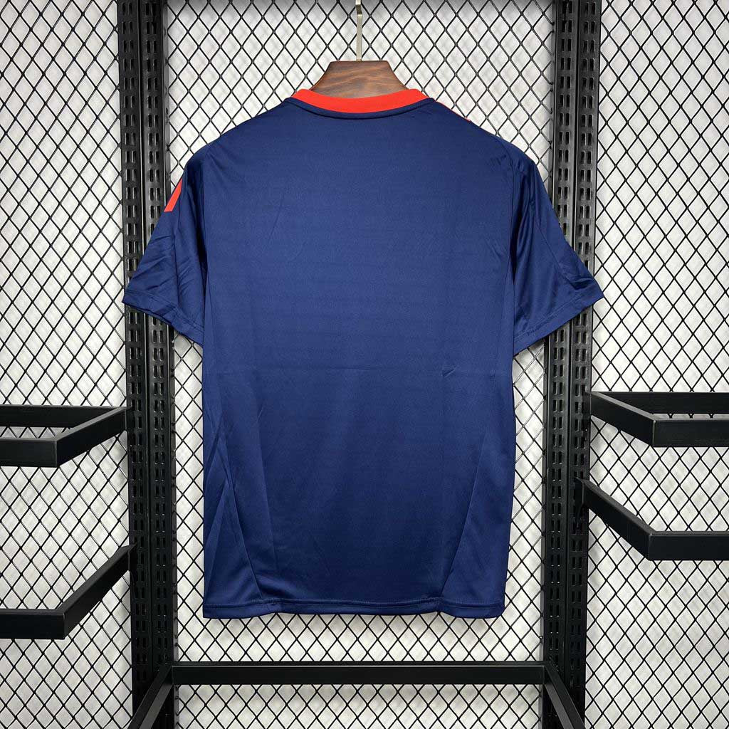 Manchester United 2024/25 Training Kit