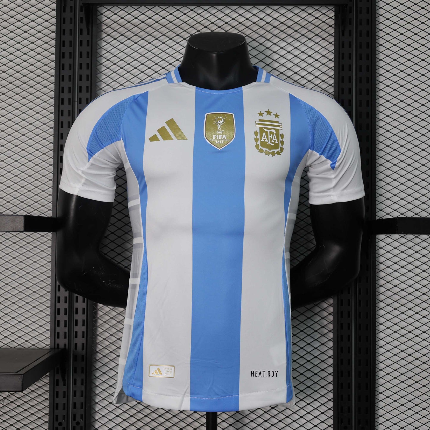 Versión para jugador local de Argentina 2024/25