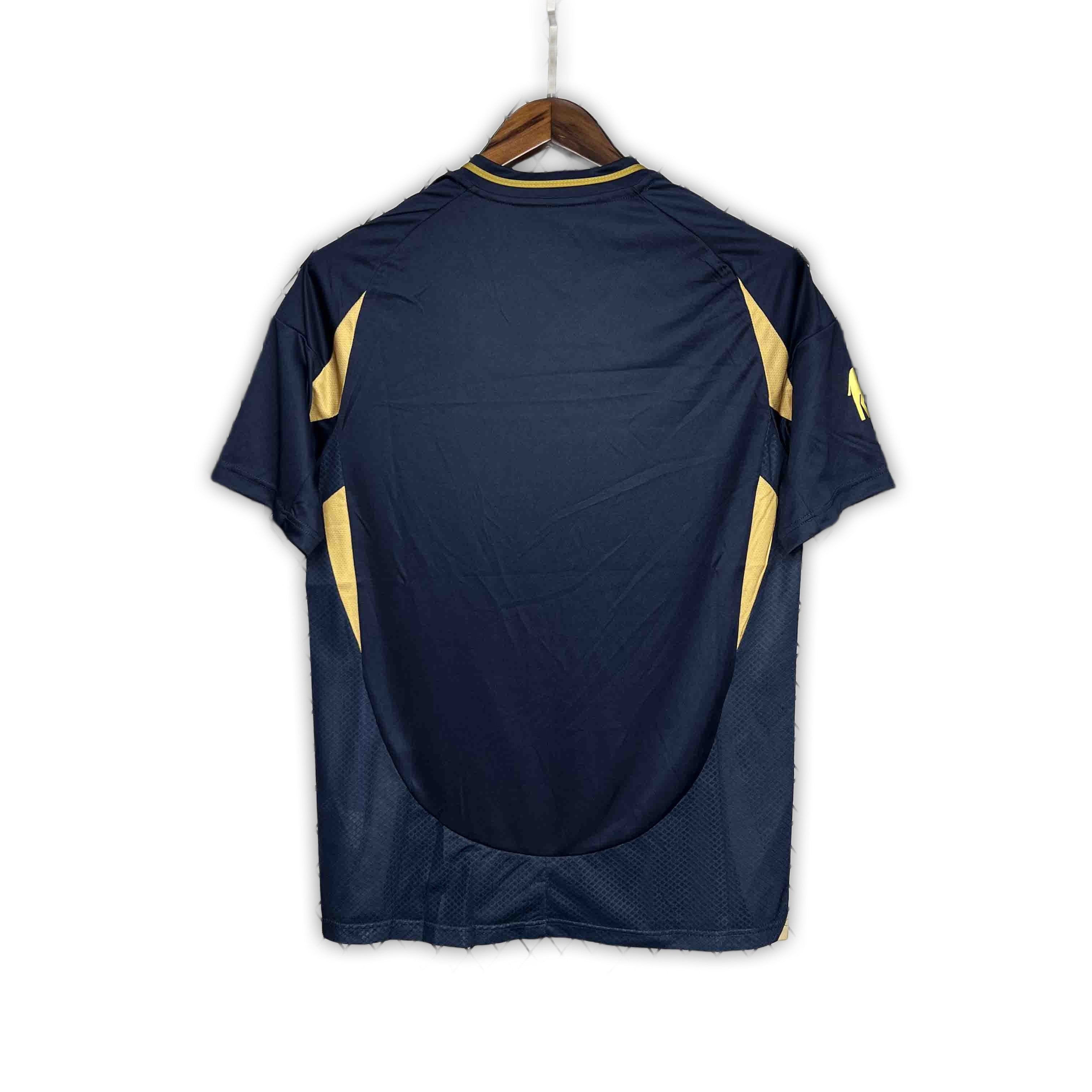 Al Nassr 2024/25 Away