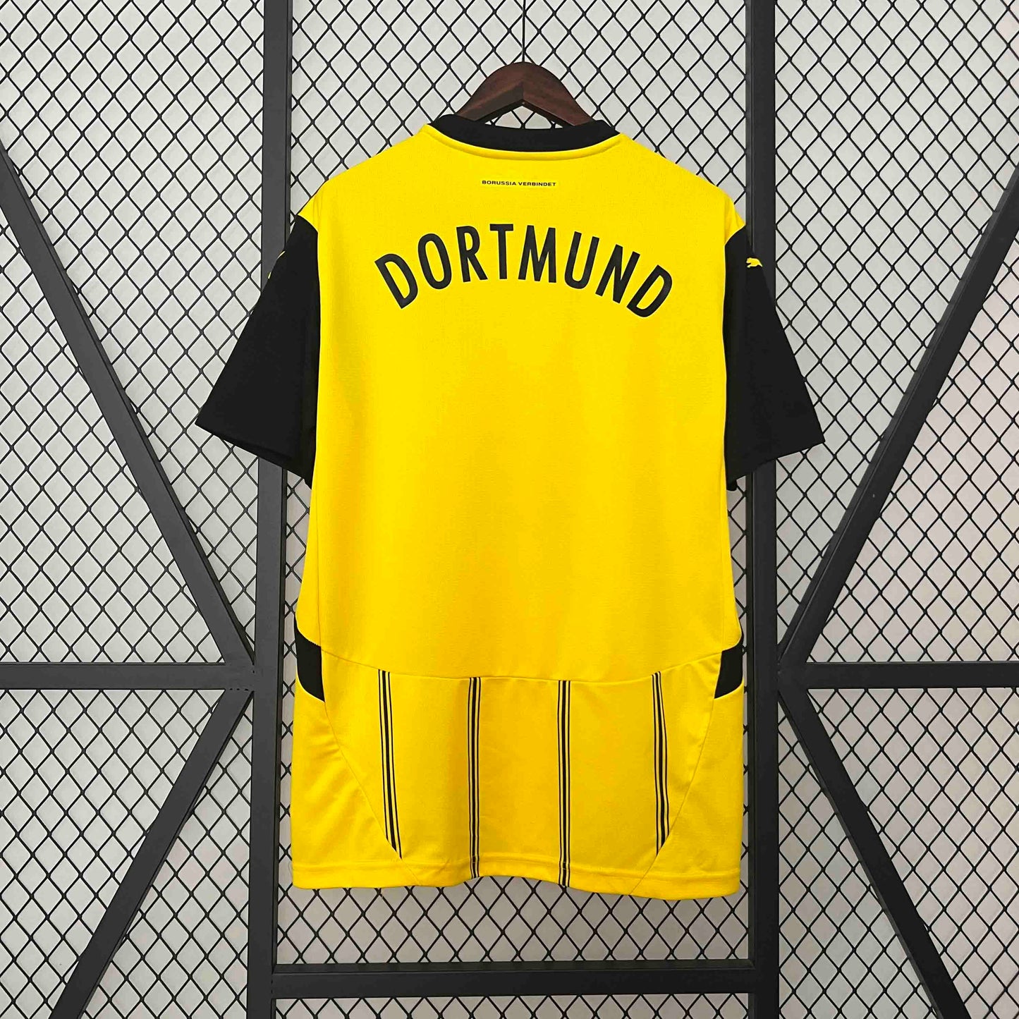 Borussia Dortmund 2024/25 Home