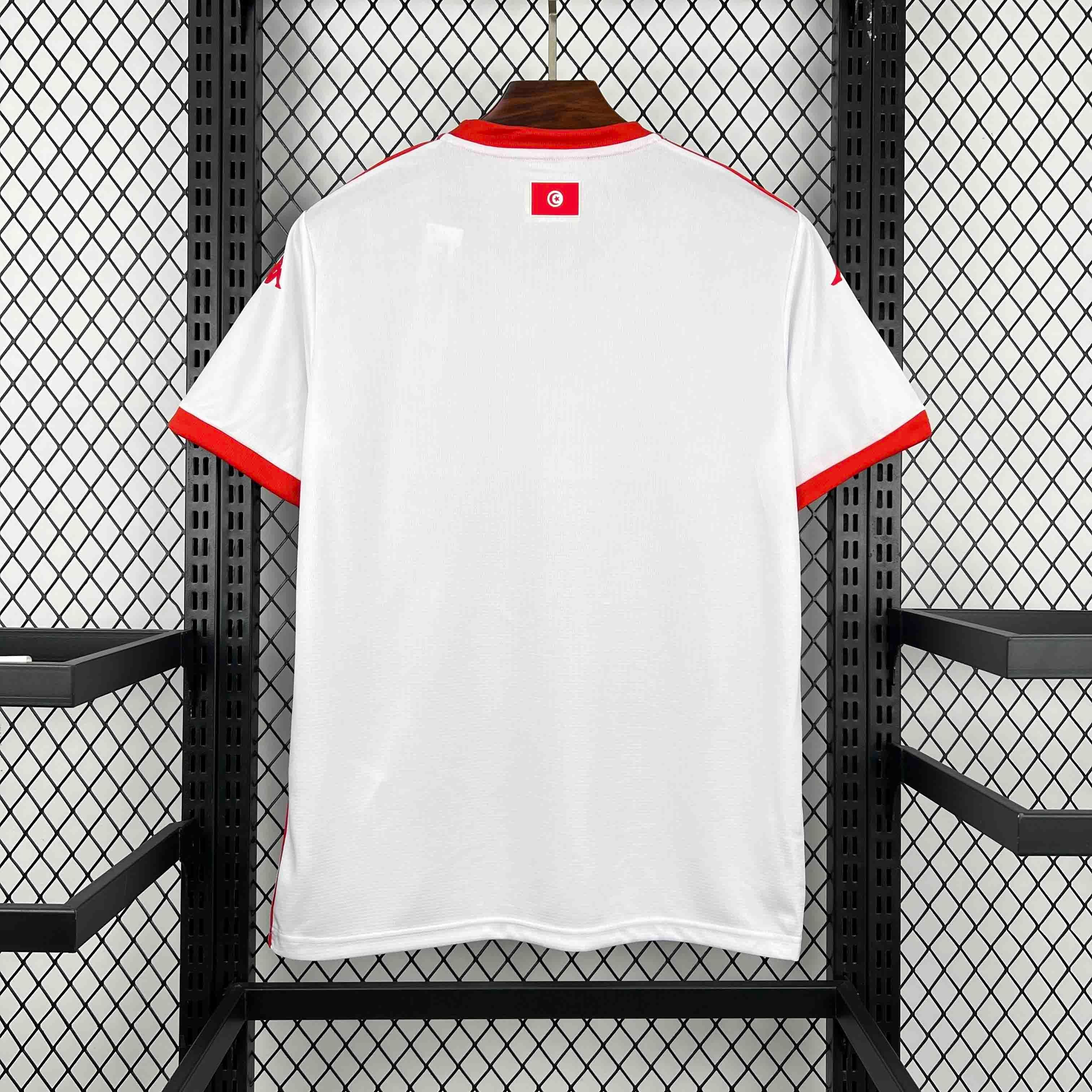 Tunisia 2026 World Cup Away