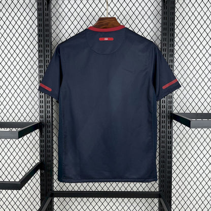 USA 2010 Away